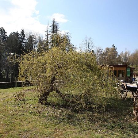 Le Veymont Villa Saint-Martin-en-Vercors Dış mekan fotoğraf