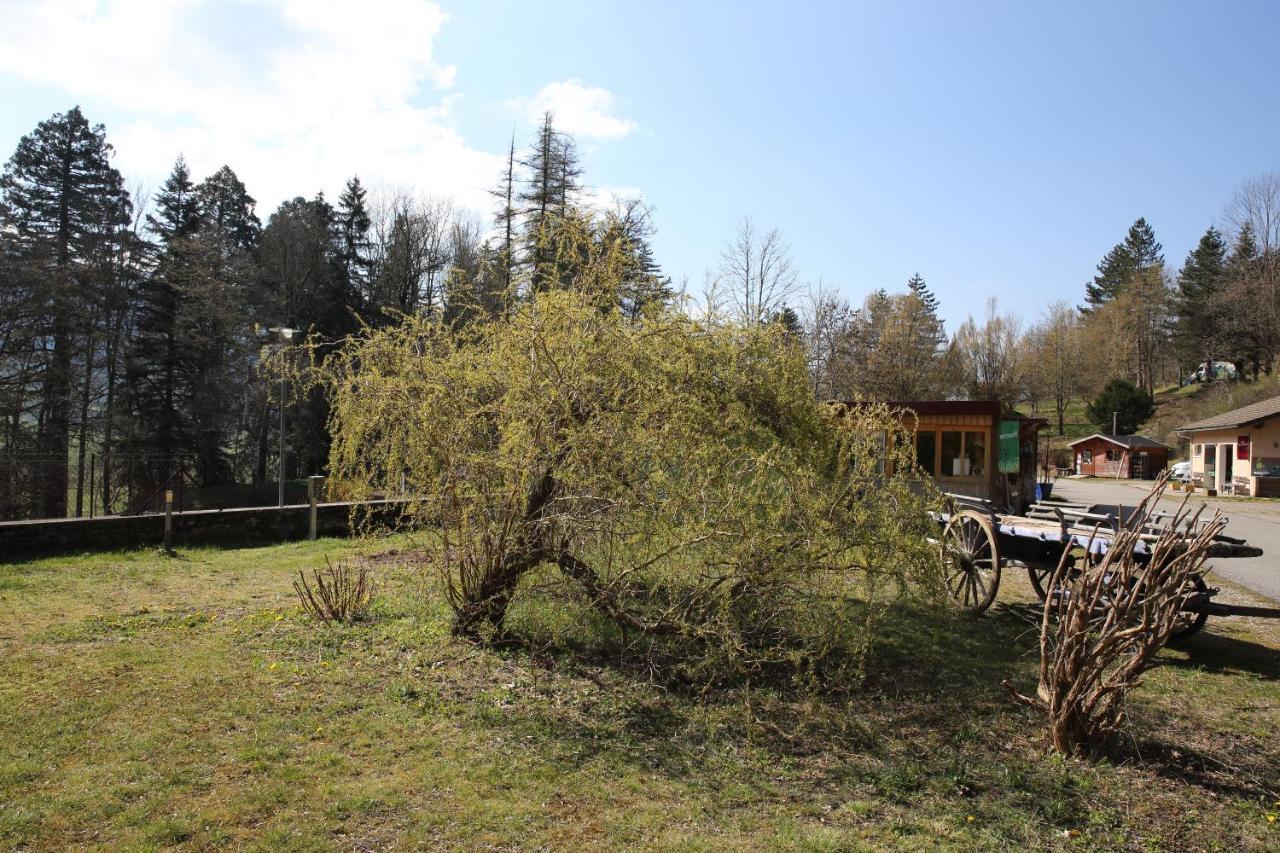 Le Veymont Villa Saint-Martin-en-Vercors Dış mekan fotoğraf